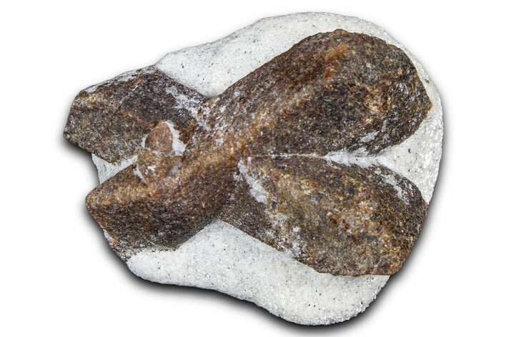 Twinned Staurolite Cross In Glittering Mica-Schist - Russia #380641